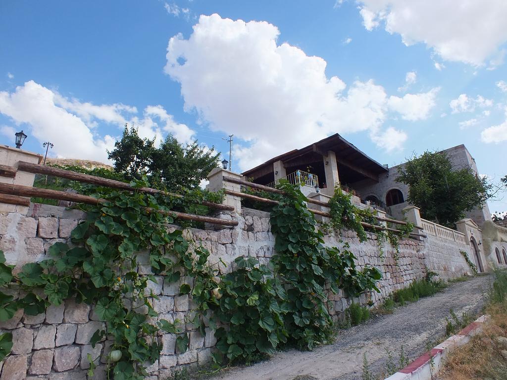 Dilek Tepesi Cave Hotel Ayvali Buitenkant foto
